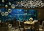 The Sanctuary Phratamnak Pattaya